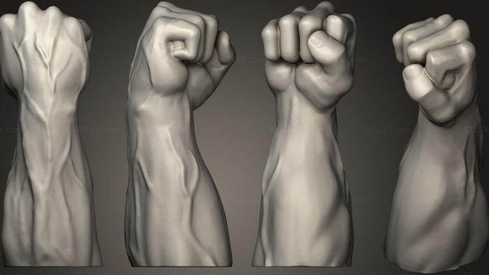 Fist Arm